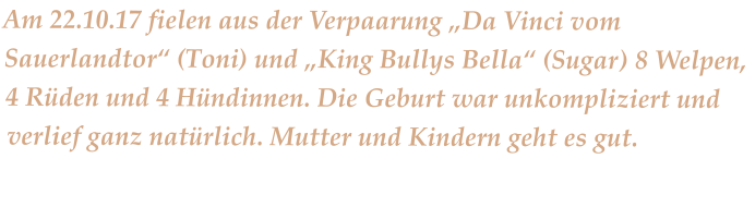 Am 22.10.17 fielen aus der Verpaarung „Da Vinci vom Sauerlandtor“ (Toni) und „King Bullys Bella“ (Sugar) 8 Welpen, 4 Rüden und 4 Hündinnen. Die Geburt war unkompliziert und verlief ganz natürlich. Mutter und Kindern geht es gut.